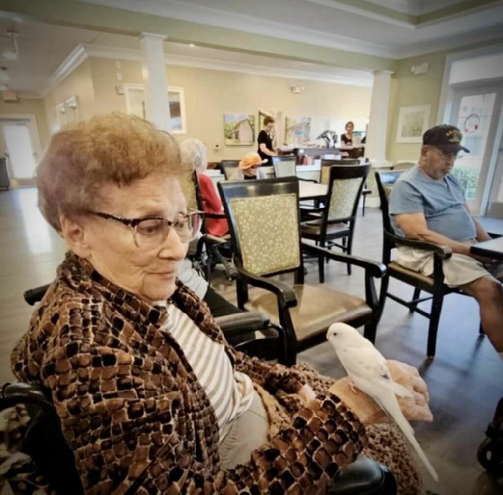 Assisted Living, LRFP 
