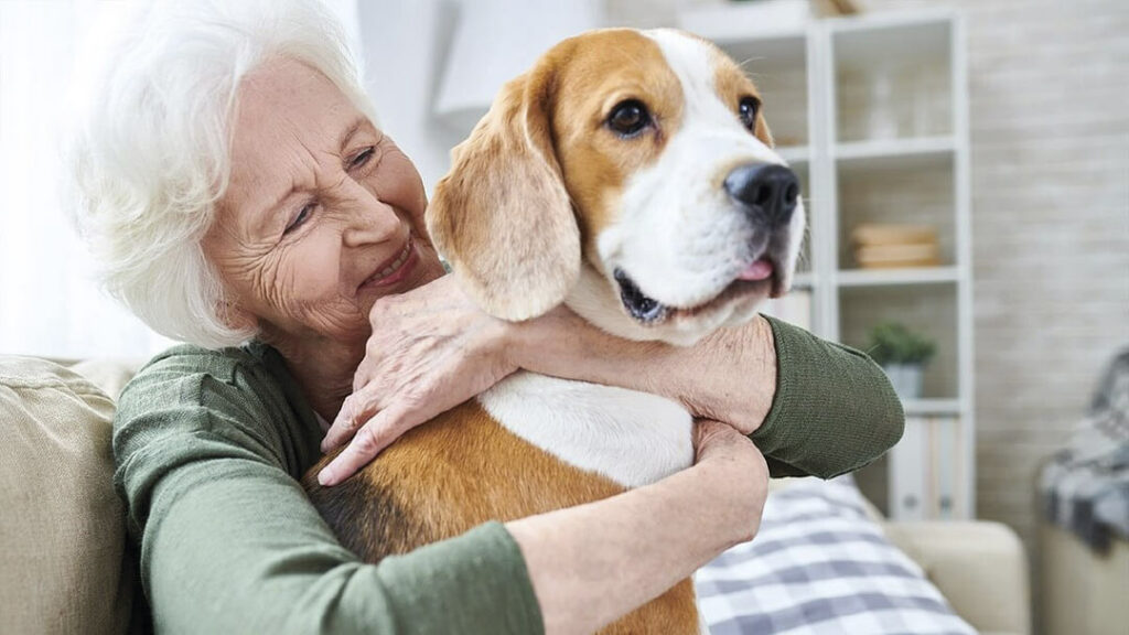 Love is a Four-Legged Word