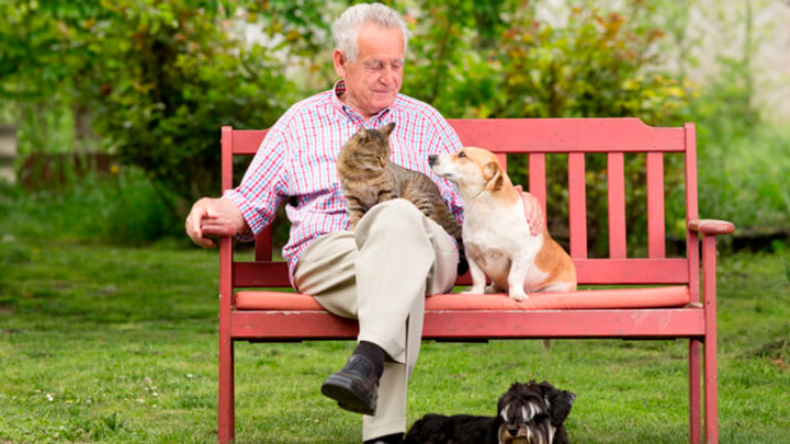 Benefits of Seniors and Pets