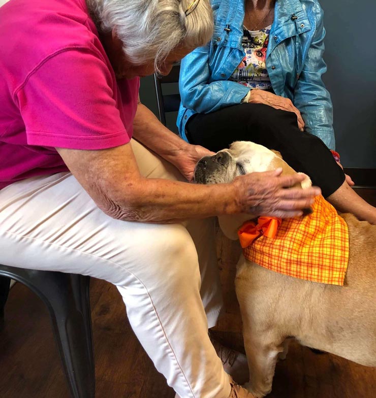 Pet Friendly Senior Living Community | Legacy Ridge at Brookstone