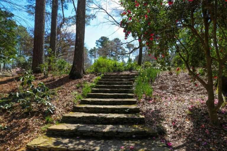 Walkway About Legacy Ridge At Brookstone