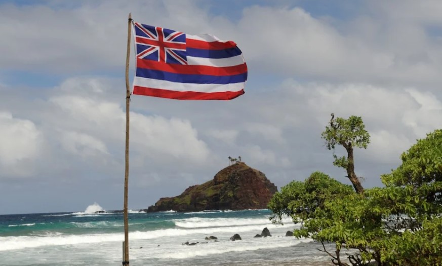 Hawaiian State Flag