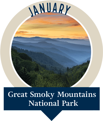 January, The Great Smokey Mountains National
