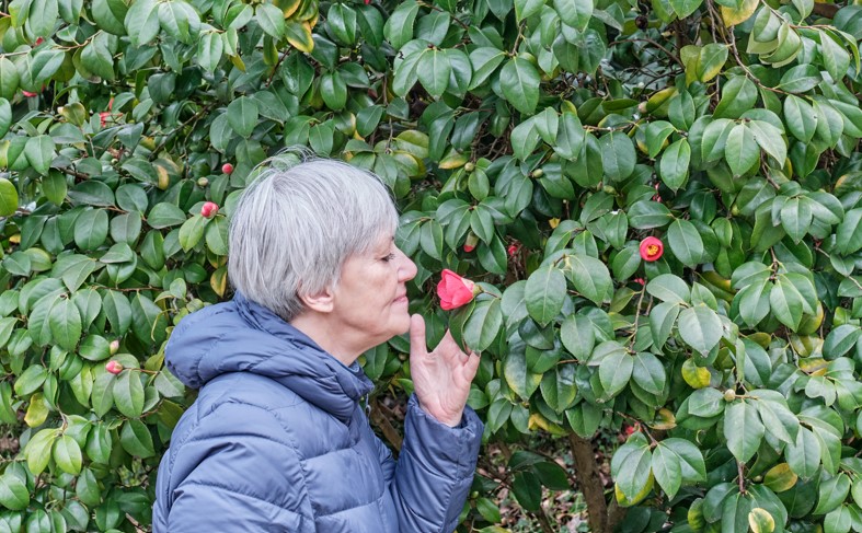 Activating the Senses: Holistic Mindfulness Practices for Seniors