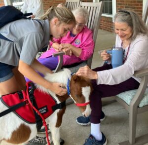 Feel Good: Therapy Horses Bring Big Smiles to Marietta Seniors