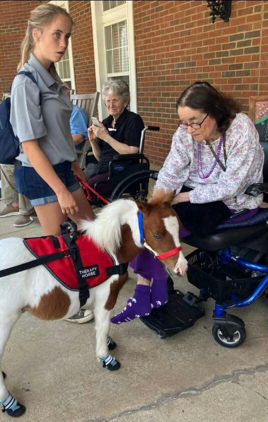 Feel Good: Therapy Horses Bring Big Smiles to Marietta Seniors