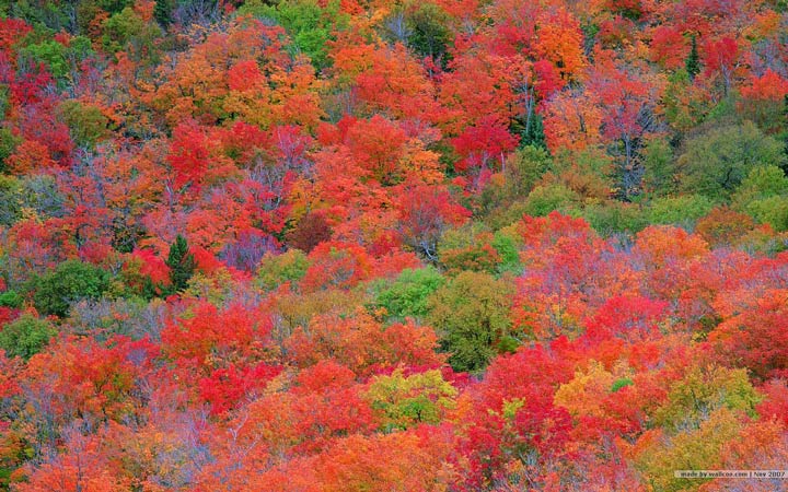 Embracing the beauty of the Season