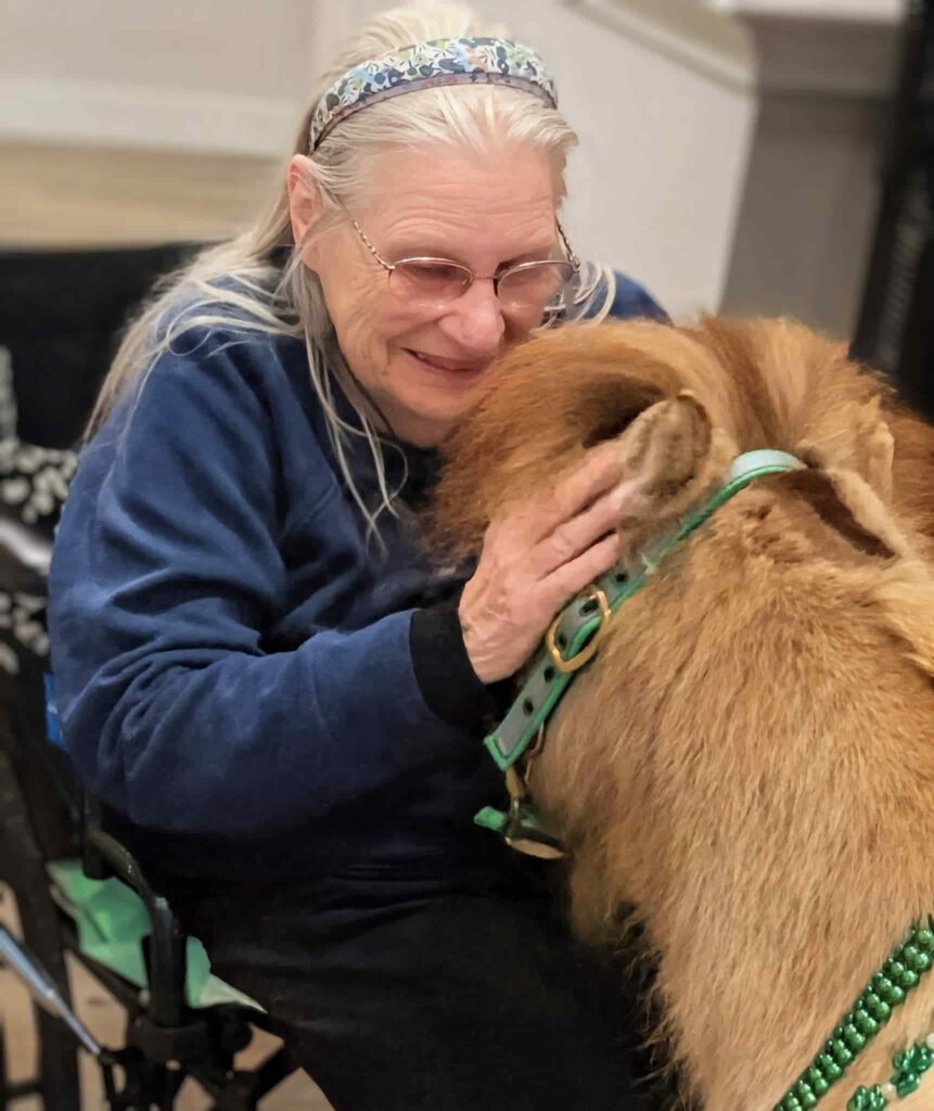 Mini Therapy Horse, Assisted Living and Memory Care | Legacy at Savannah Quarters