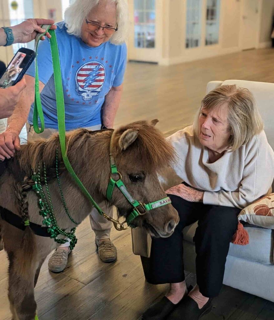 Mini Therapy Horse Visits Pooler Seniors, Legacy at Savannah Quarters