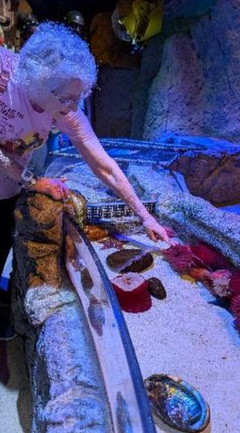 Sea Life