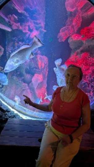 Sea Life