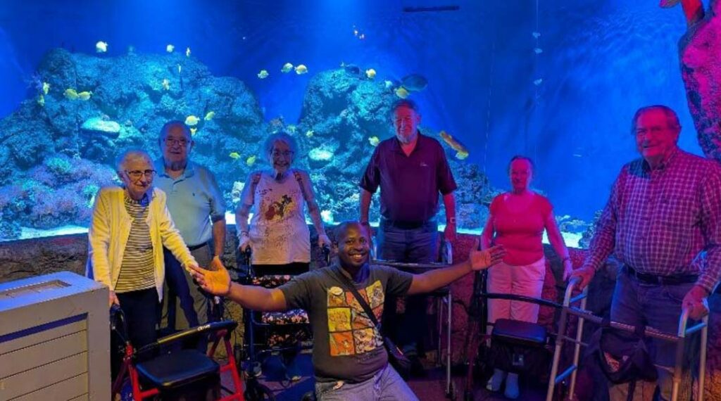Sea Life
