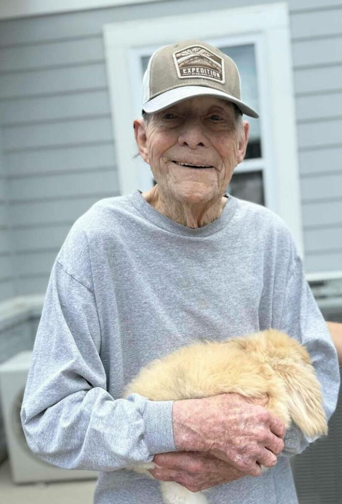 The benefits of animals for seniors