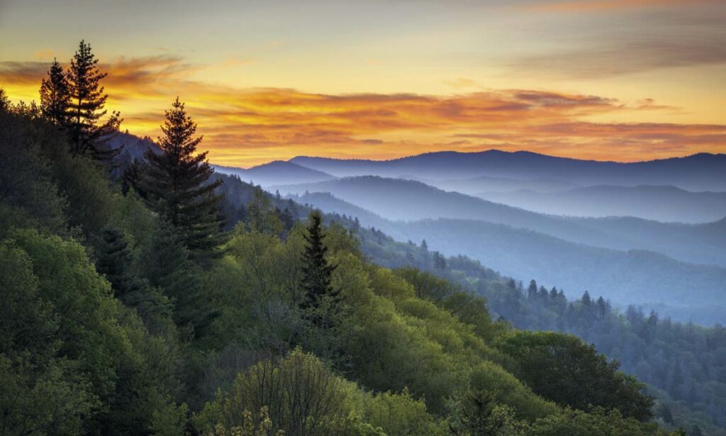 The Great Smokey Mountains