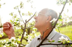 How spring can help improve the mental health of seniors? Madison at Oviedo