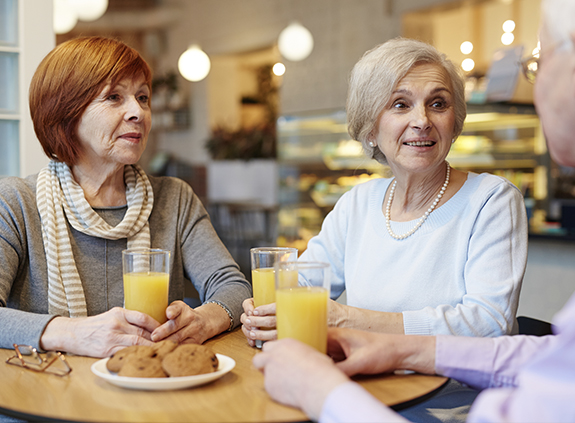 Seniors Dual Dwellings Apartments