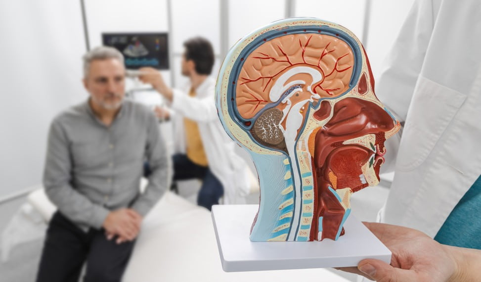 The Nervous System — Your Body’s Hidden Supernetwork
