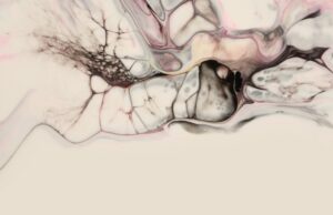 What to Expect from Your Nervous System After 65 and How to Care for It