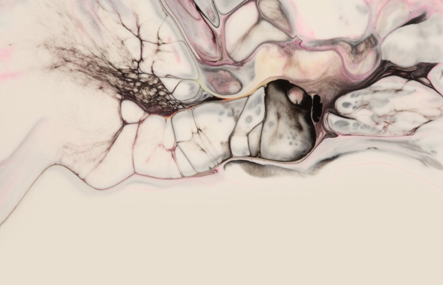 What to Expect from Your Nervous System After 65 and How to Care for It
