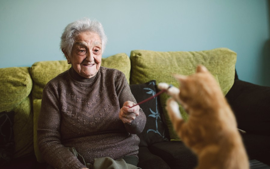 Low-Maintenance Pets for Seniors Who Want Companionship | Madison at The Range, Alabama