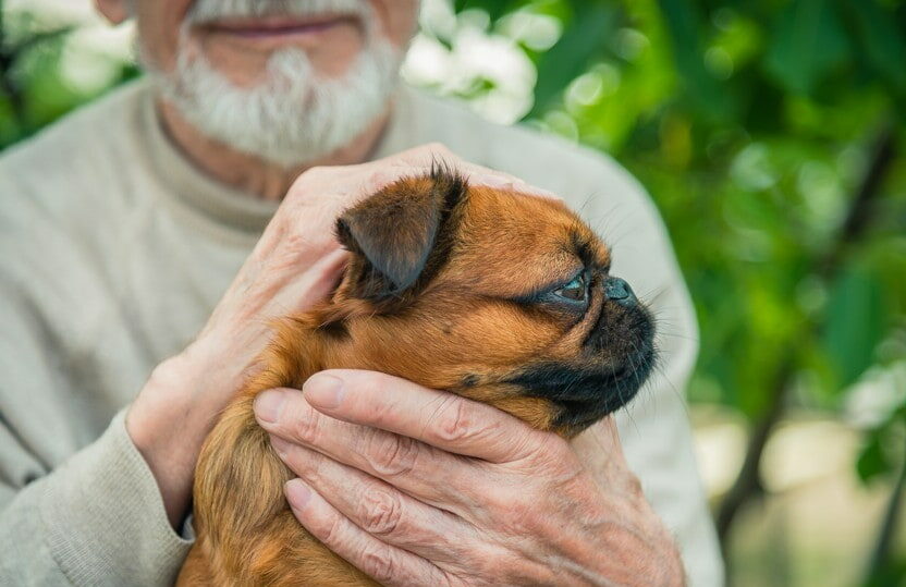 Dogs for Seniors, Madison at The Range | Pet-Friendly Senior Living Community