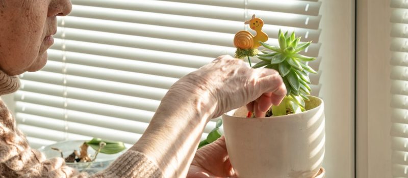 Memory Care Strategies for Families, Madison at the range