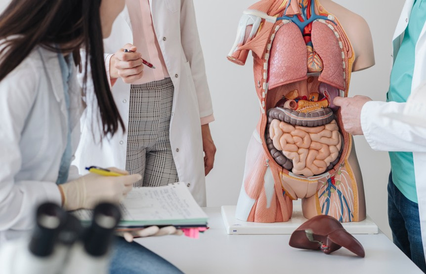 Habits Every Senior Should Know to Improve Digestive Health