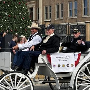 veterans-day-parade