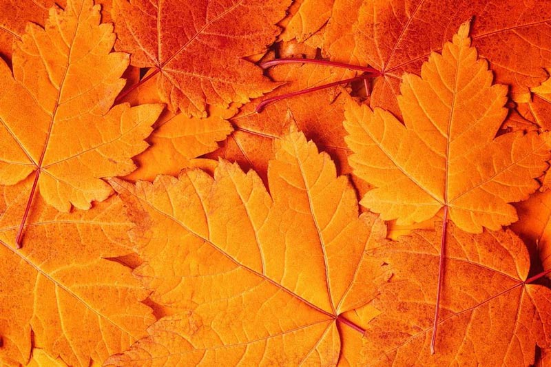 The bright side of October