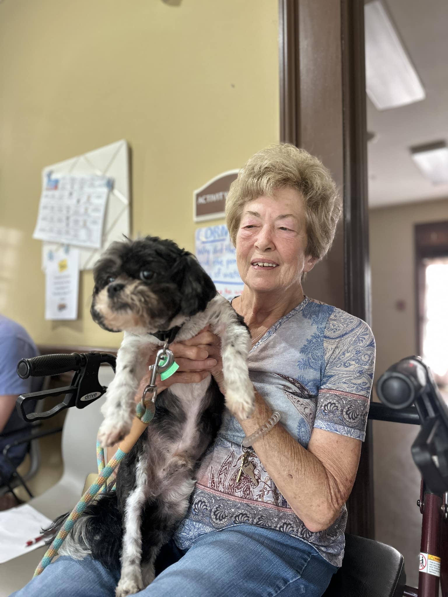 pets assisted living, spring park 