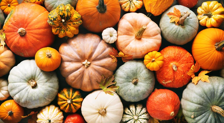 The Health Benefits of Pumpkin