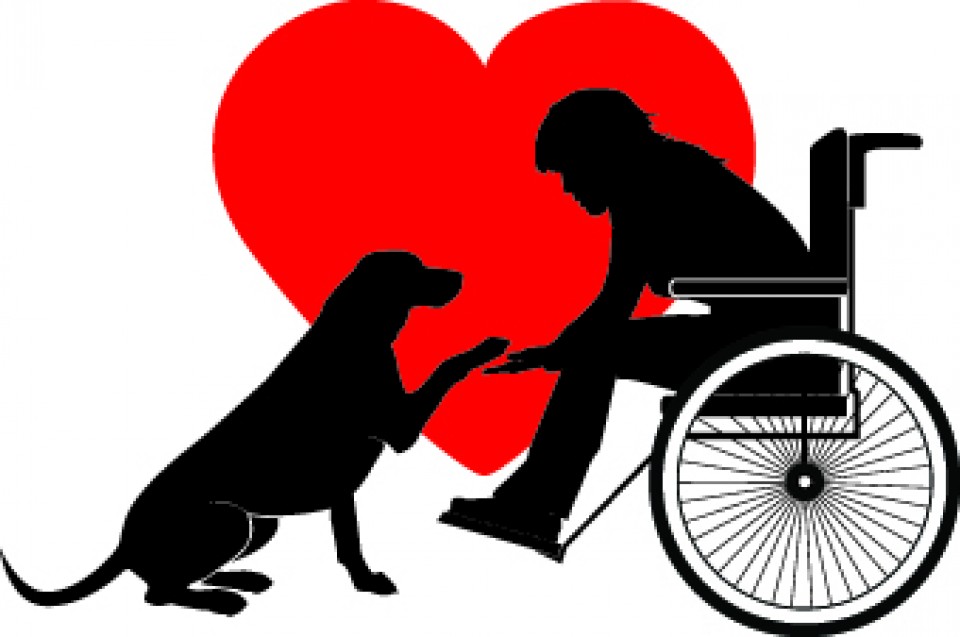 The Power of Pet Therapy