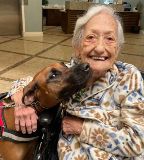 Senior Pet Friendly