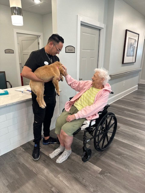 Pets and Seniors