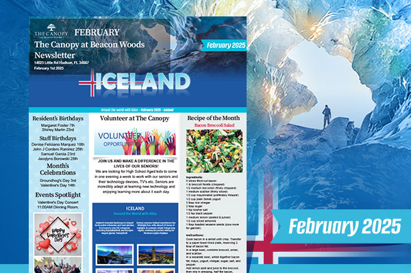 February 2025 Newsletter