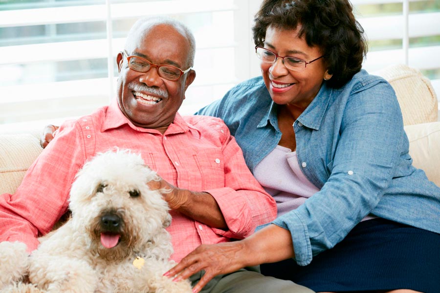 Pets and Wellness for Seniors