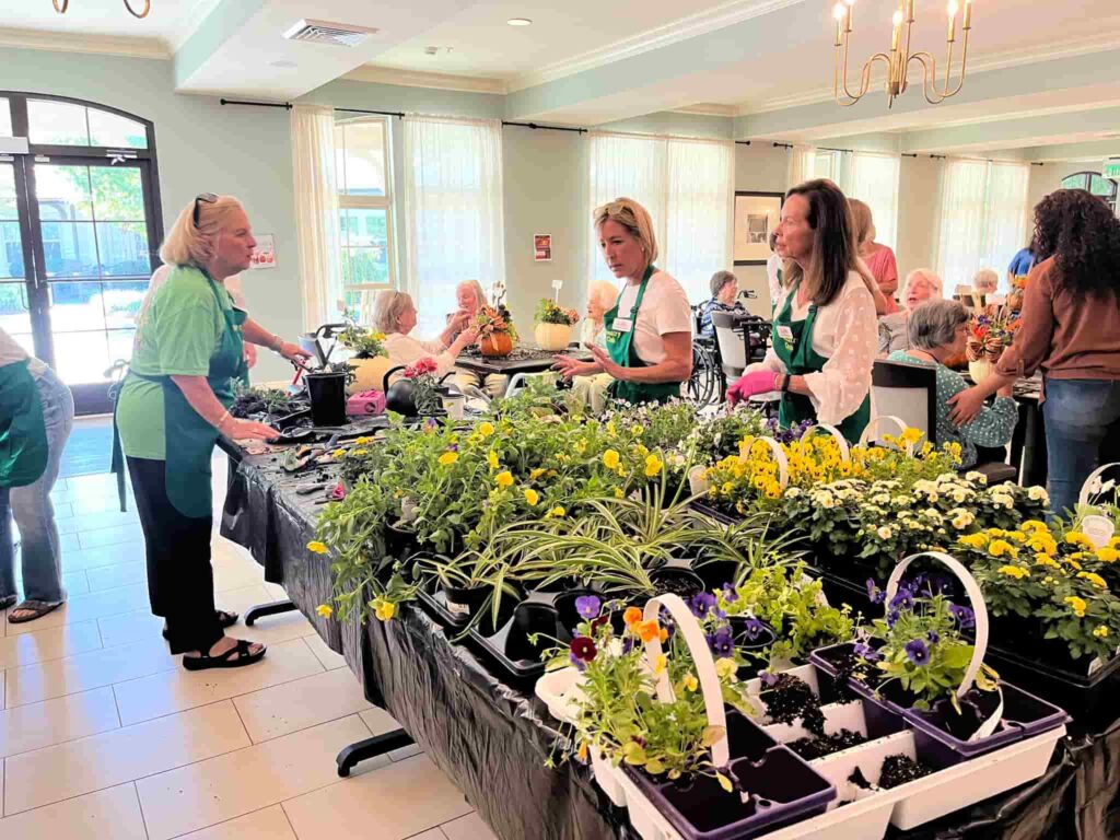 fun activities, the goldton at adelaide