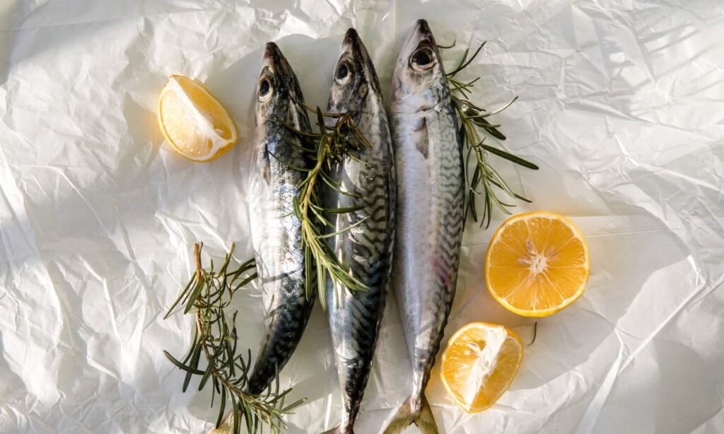 3. Best Omega-3 Rich Fish for Seniors to Enjoy This Summer