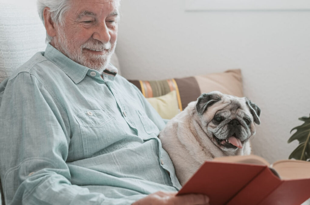 Best Small Dogs for Seniors