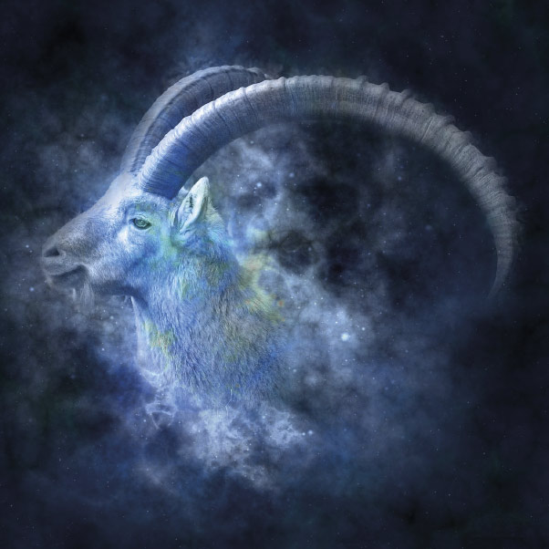 Capricorn Zodiac Symbol