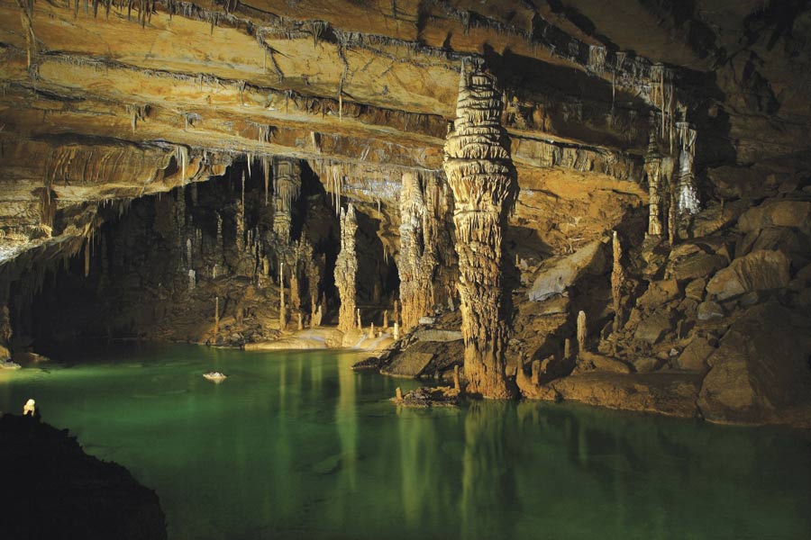 Discovering National Parks- Mammoth Cave