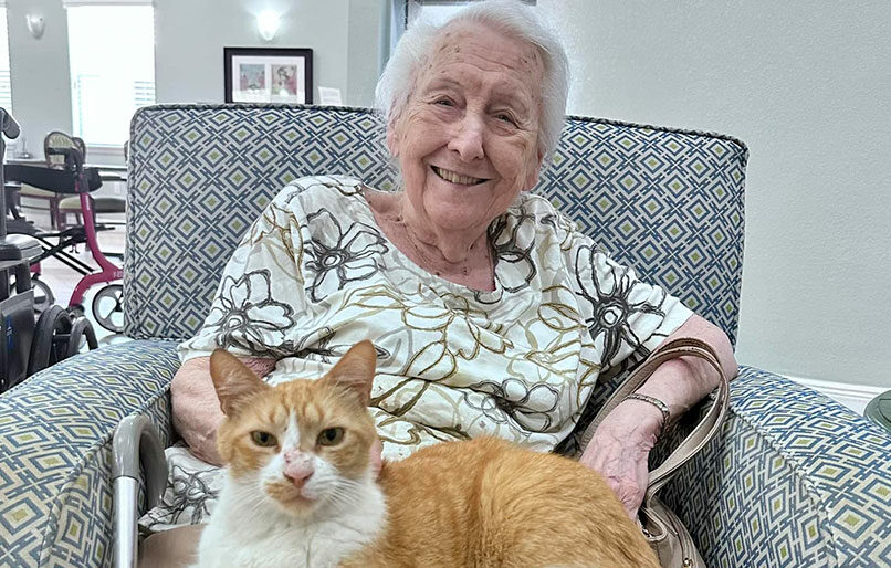 The Pawsitive Impact of Cats on Senior Well-Being