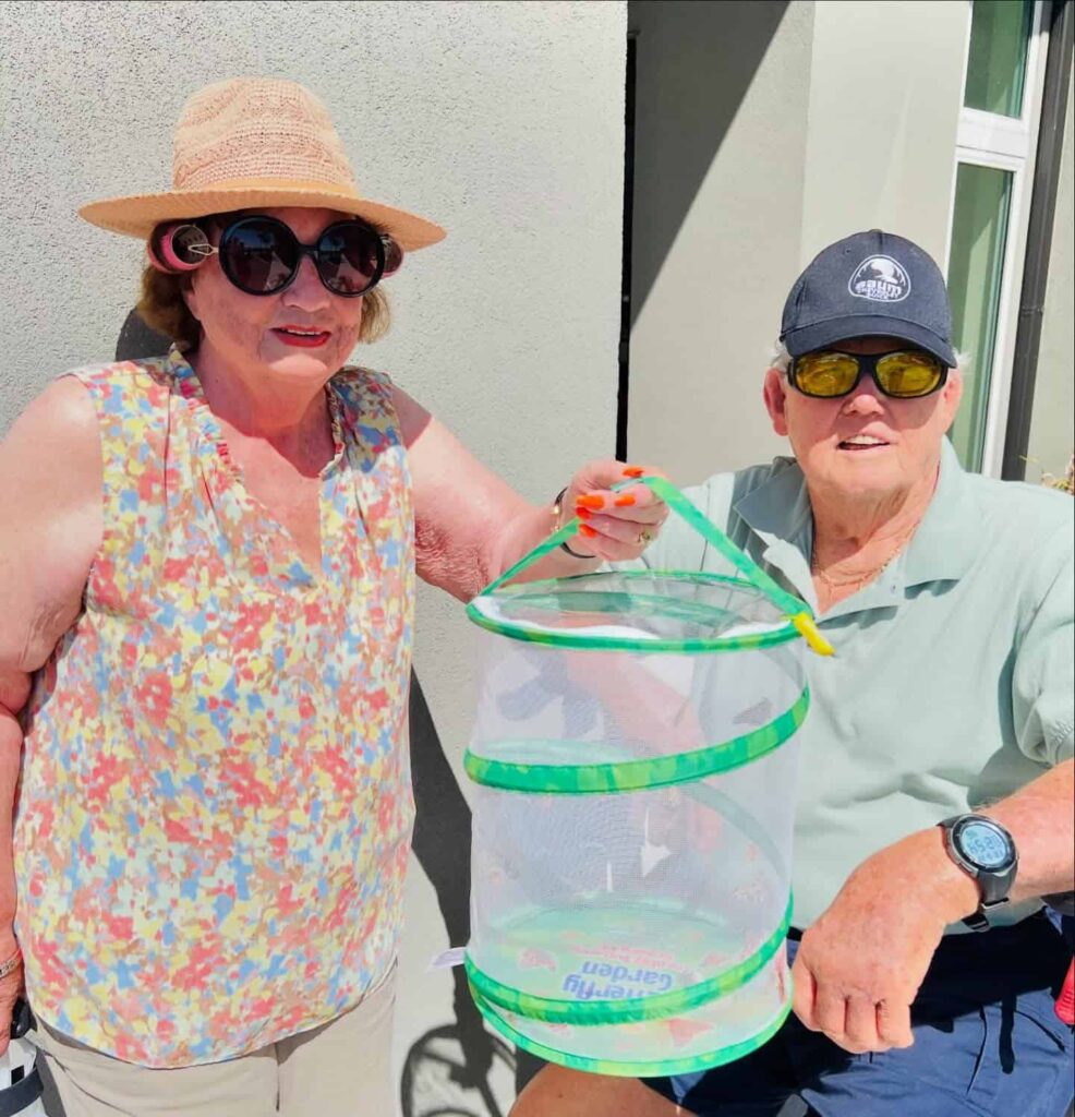 Daily fun, The Goldton at Venice