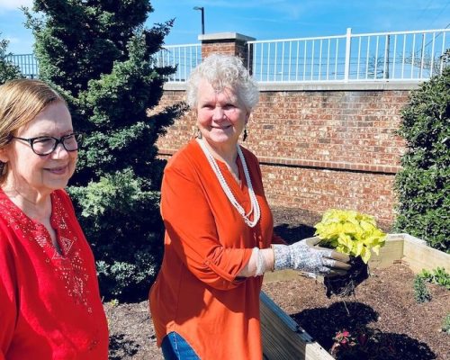 The Goldton at Venice | Residents gardening