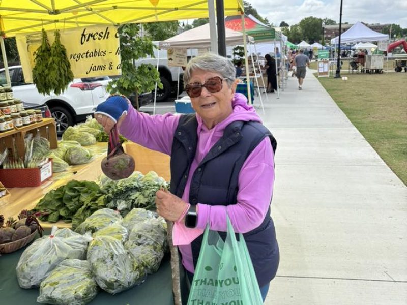 resident-shopping-the-overlook-at-suwanee