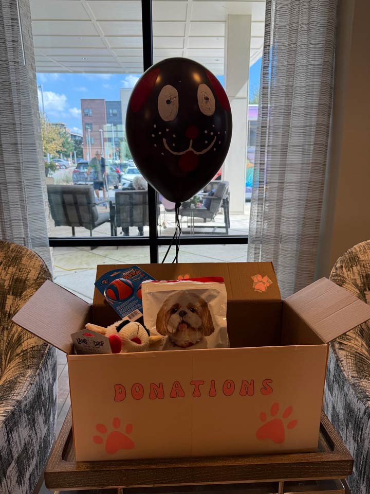 Collect donations for ASPCA