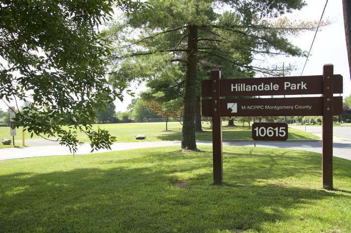 Hillandale Local Parl