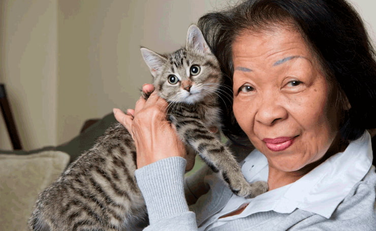 Senior Pet Friendly - Memoty Care