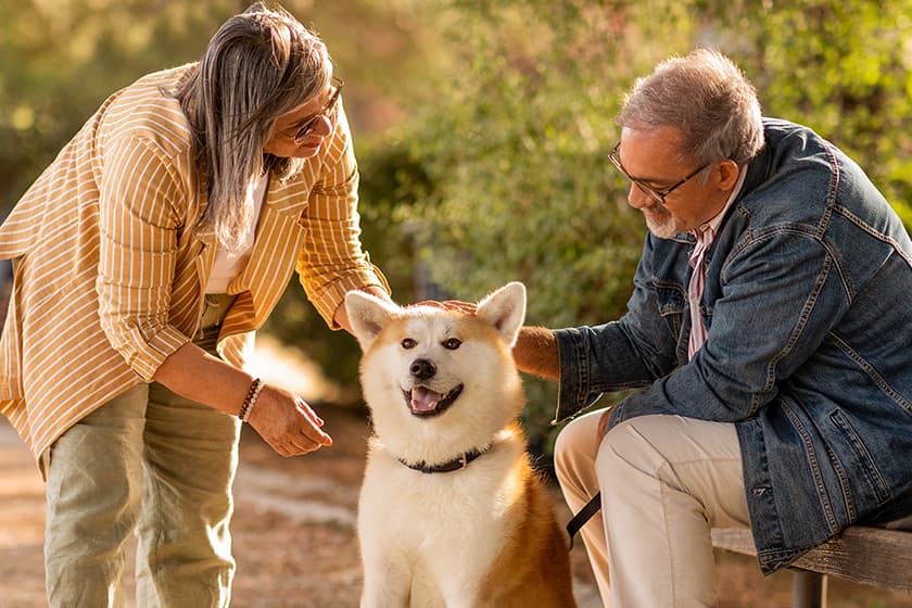 Seniors Couple With Dog Enjoy a Day Outdoors